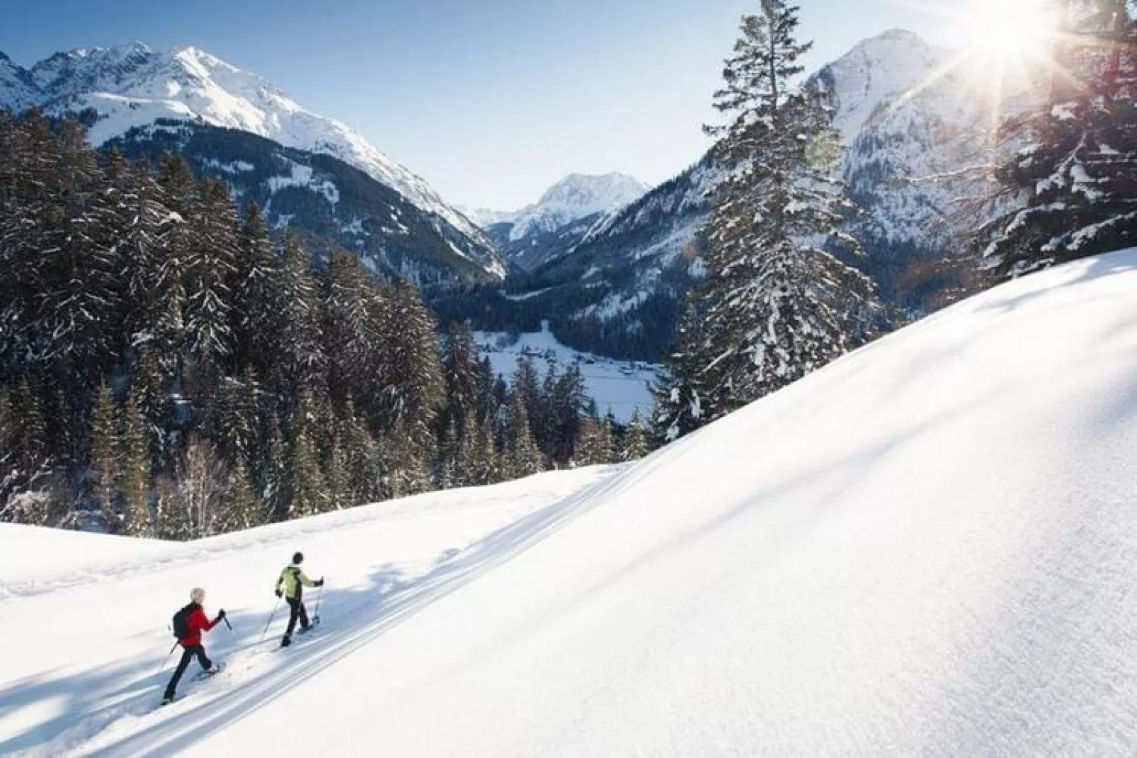 Haus Schedler - Wiesenblick-Gebied winter 5km