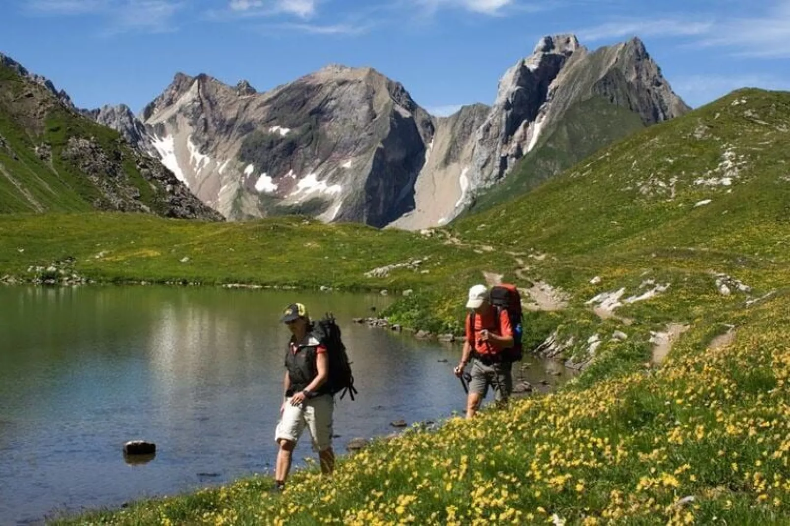 Haus Schedler - Wiesenblick-Gebieden zomer 5km