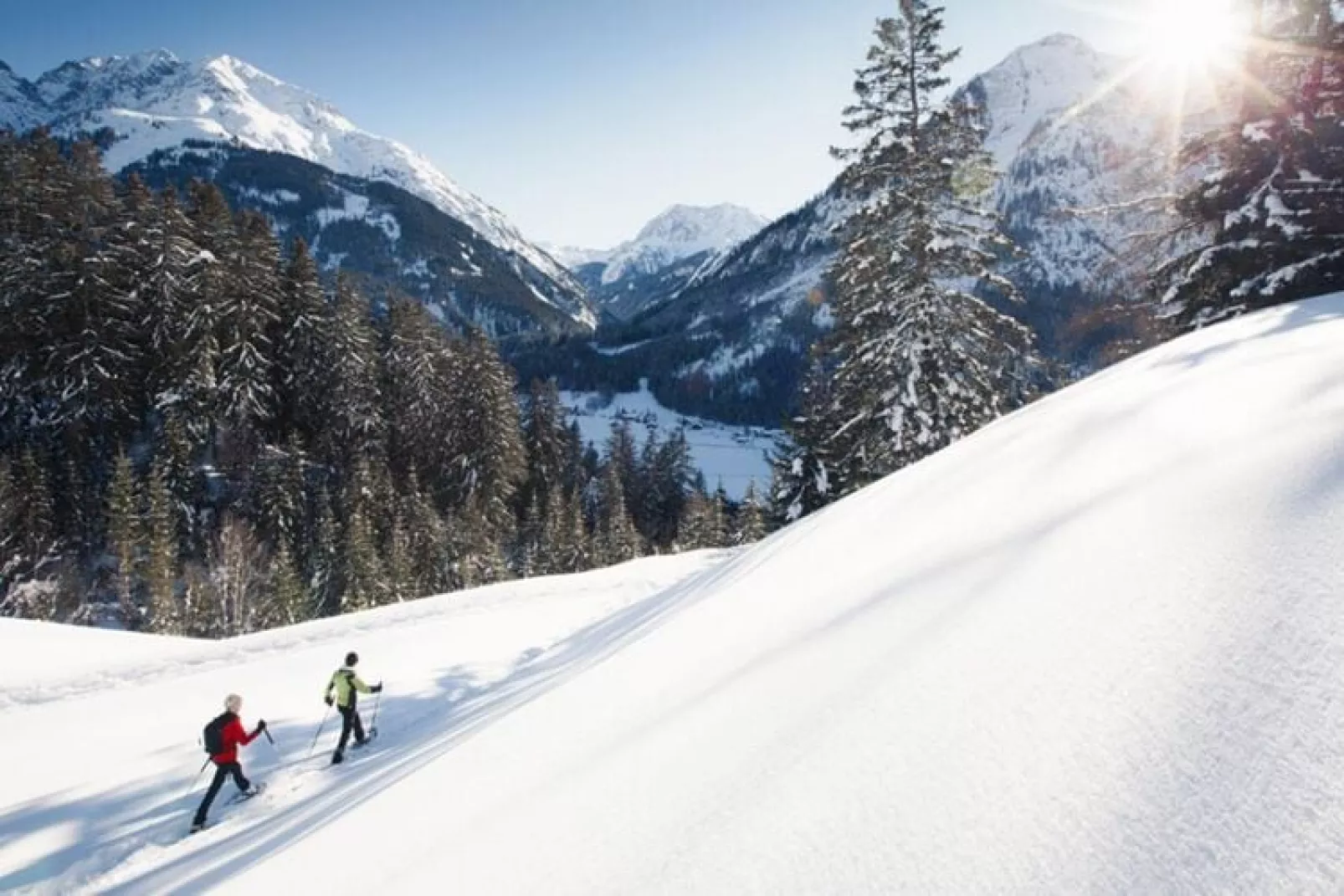 Haus Schedler - Gipfelblick-Gebied winter 5km