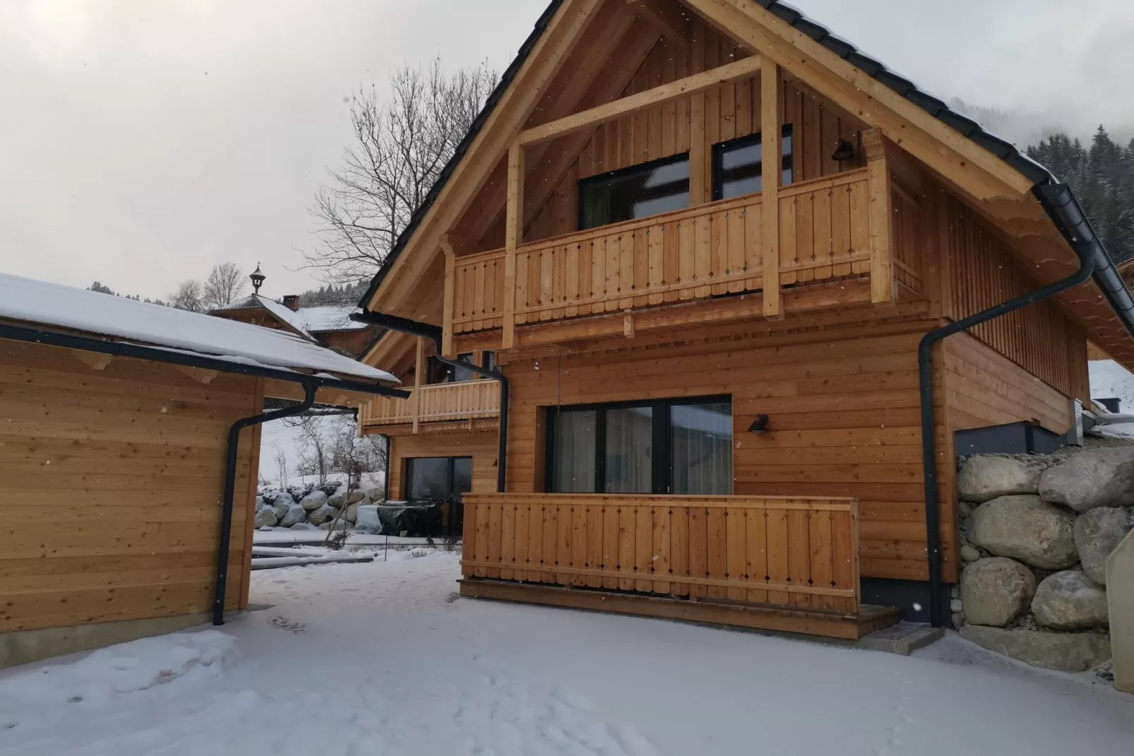 Chalet Tauplitz-Exterieur winter