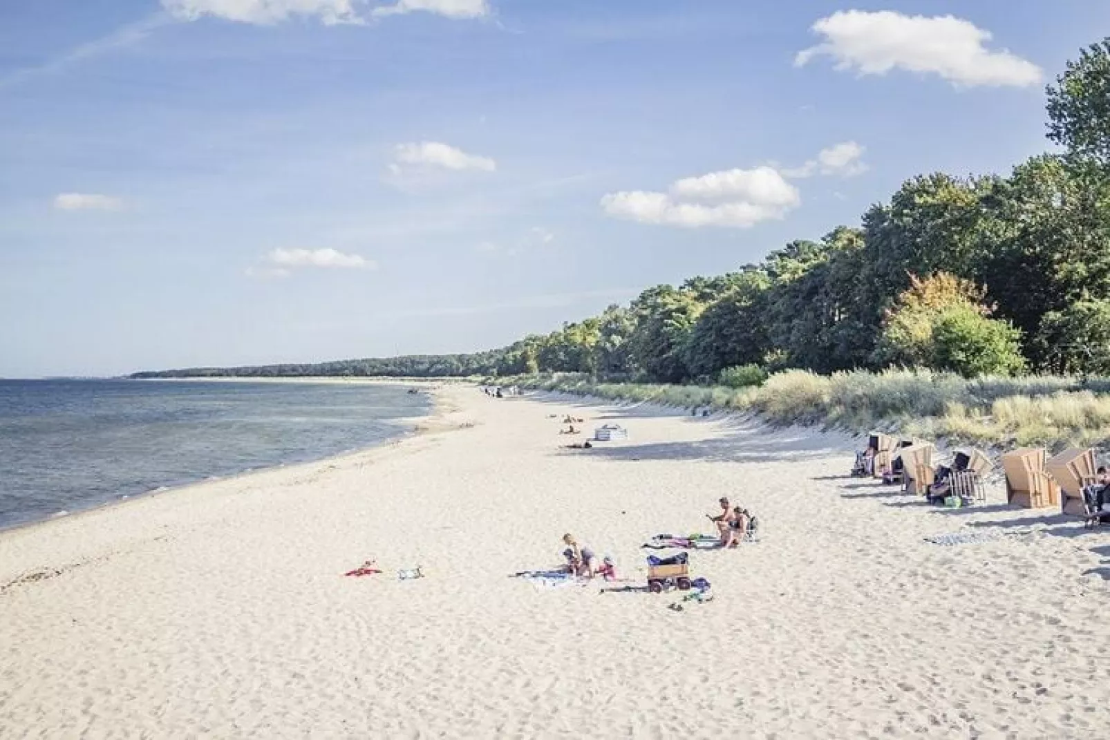 Ferienwohnung Rügenblick-Gebieden zomer 5km