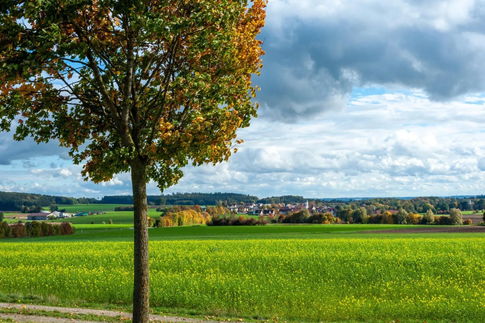 Ferienwohnung Haunsheim - rechts & links-Gebieden zomer 1km