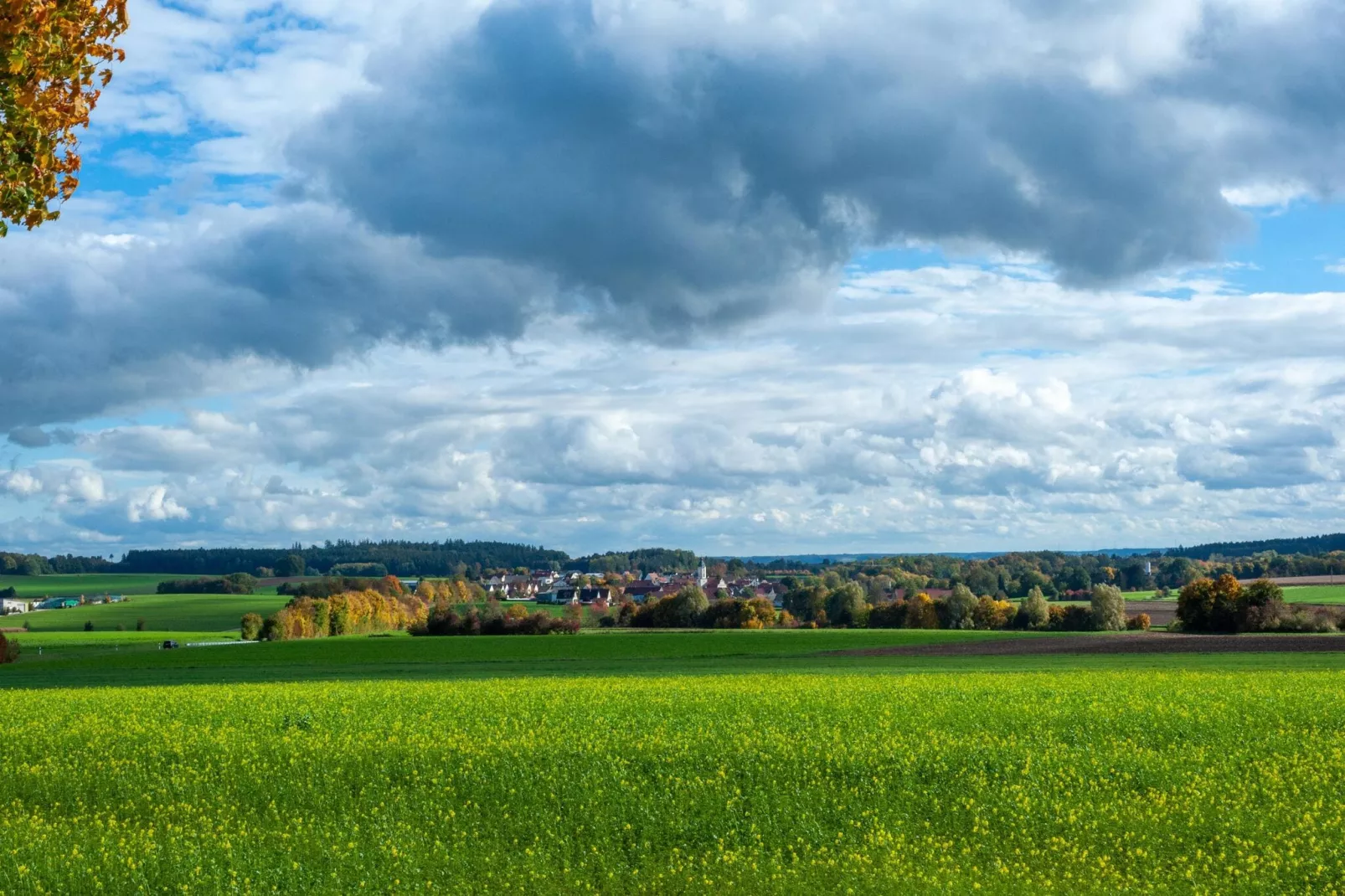 Ferienwohnung Haunsheim - rechts & links-Gebieden zomer 5km