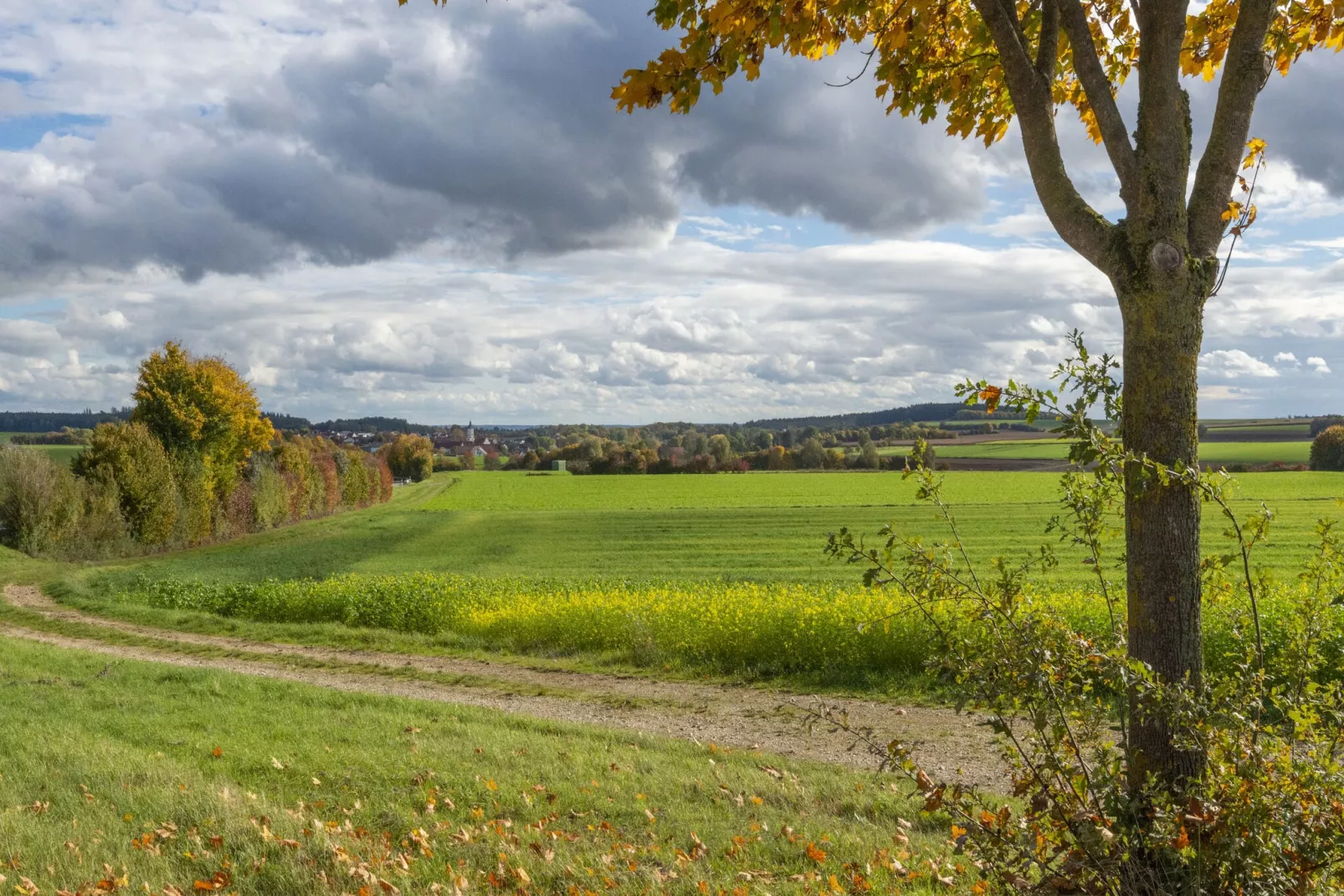 Ferienwohnung Haunsheim - rechts & links-Gebieden zomer 5km