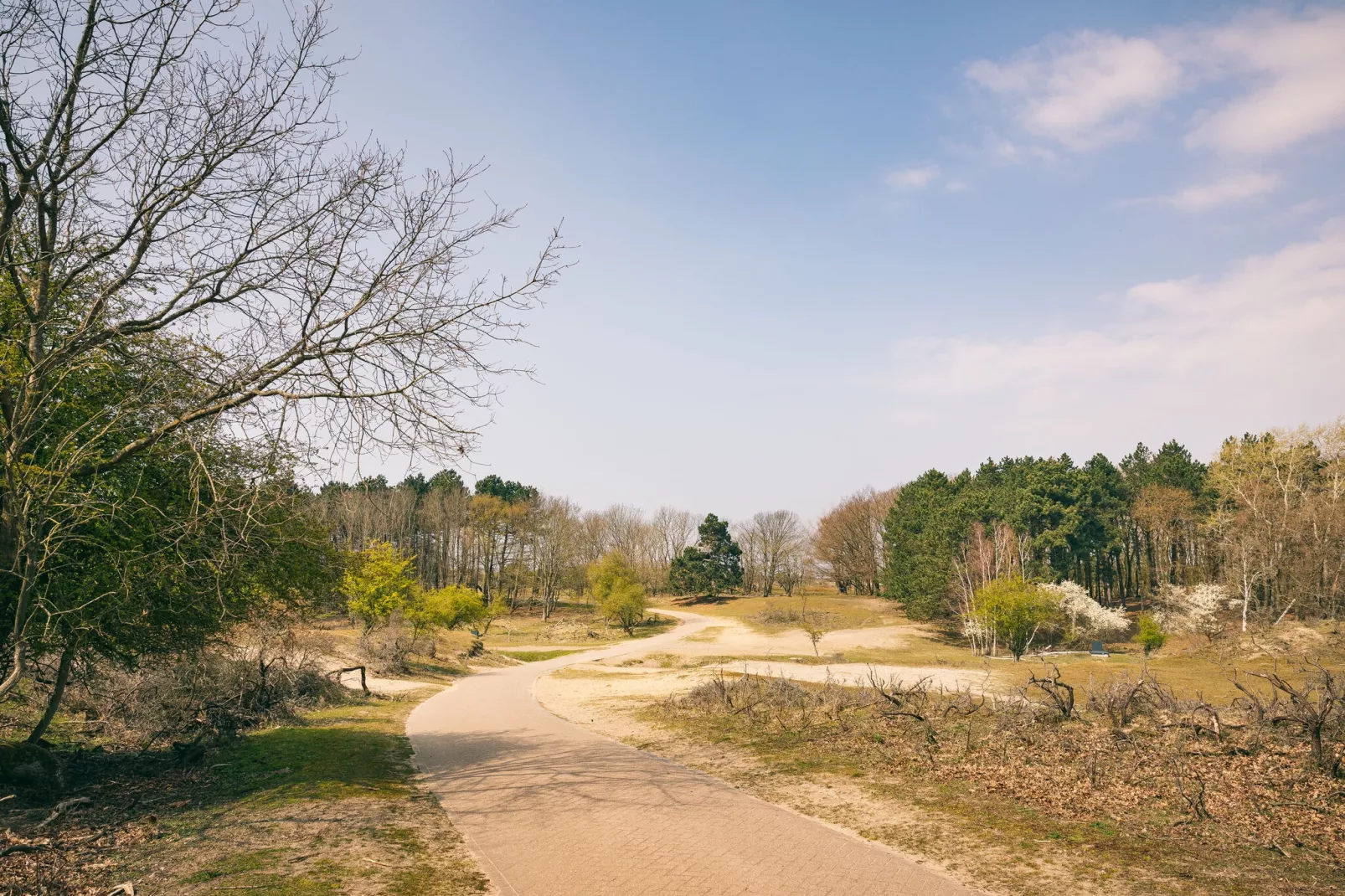 Duinresort Dunimar 5-Gebieden zomer 5km