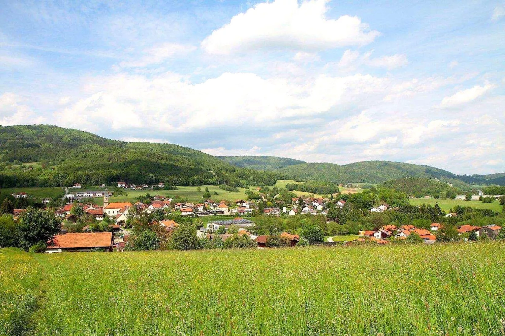 	Holiday flats Haus am Wald Zenting-Wohnung für 2 Personen-Gebieden zomer 5km