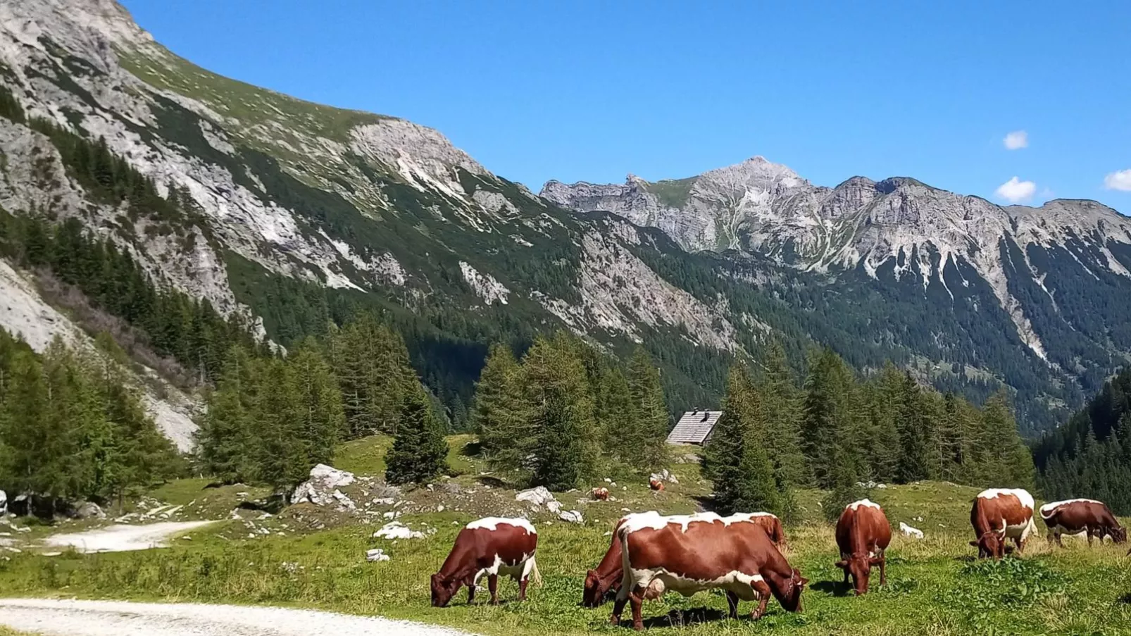 Wolfgangchalet C-Gebieden zomer 20km