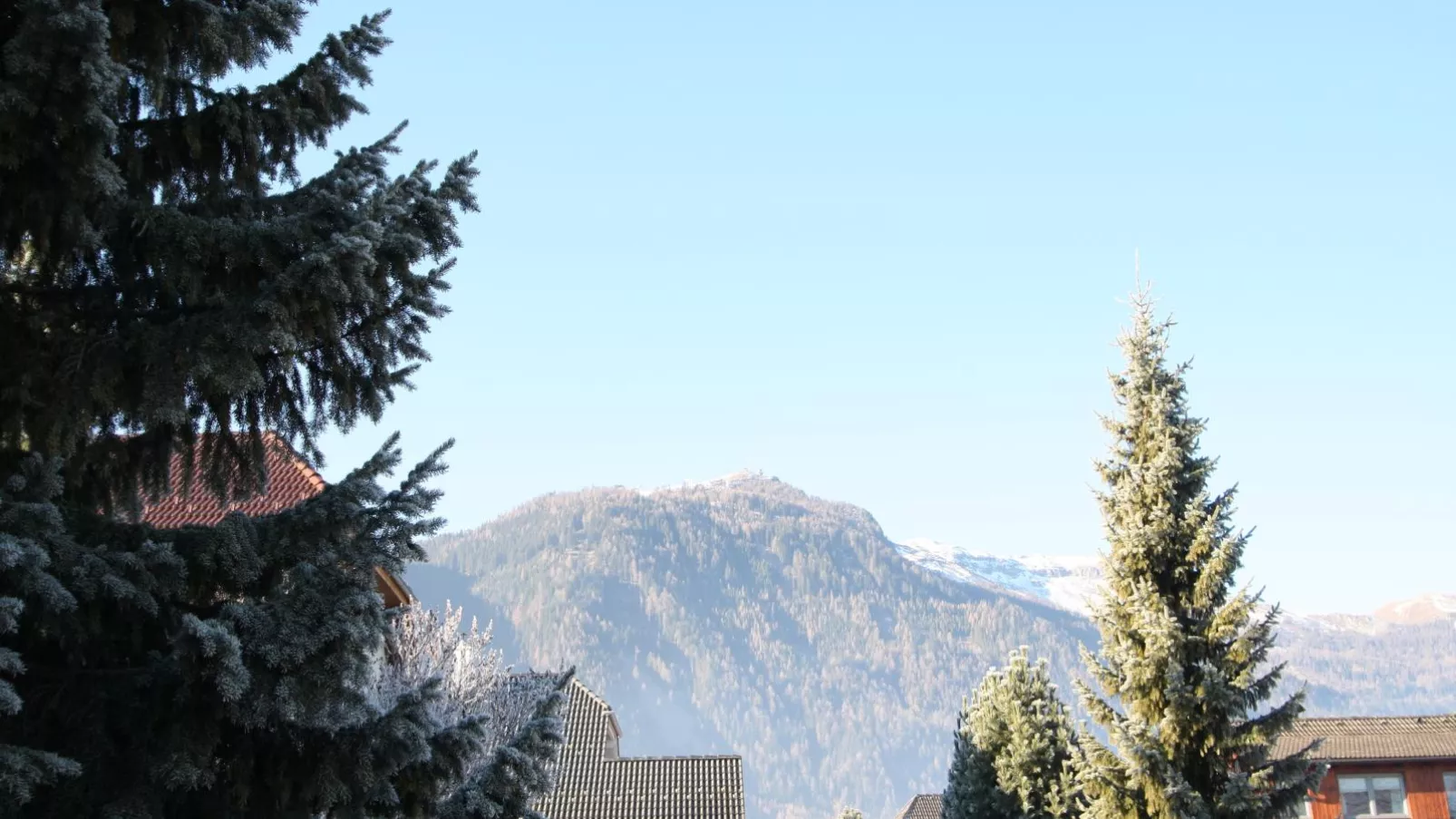 Alpensteinbock Mauterndorf II-Uitzicht zomer