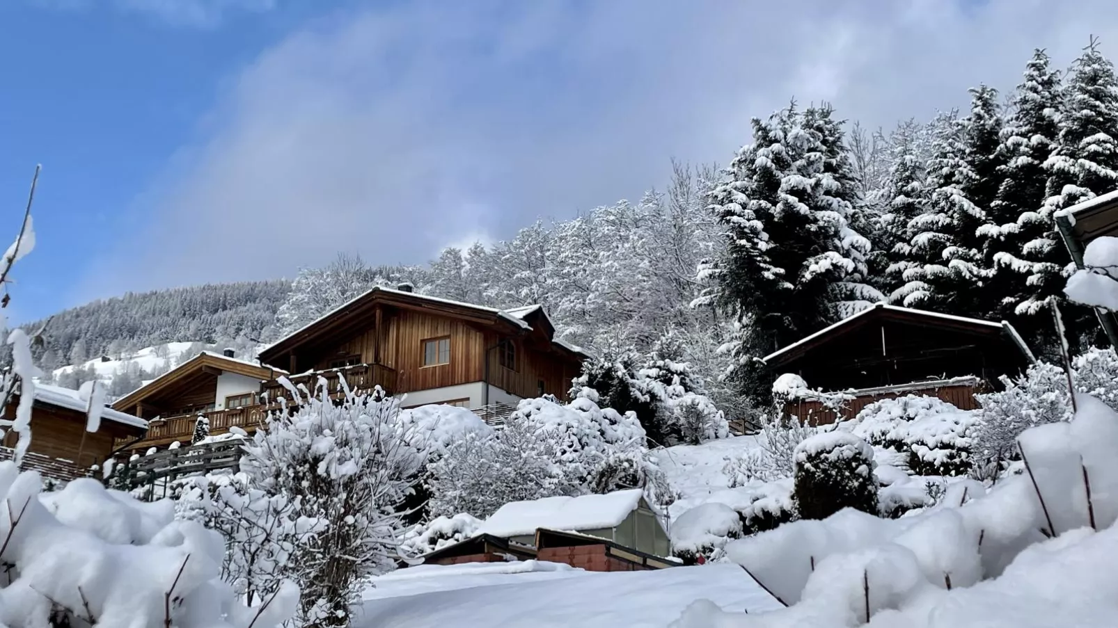 Chalet Erlebnishaus II-Exterieur winter