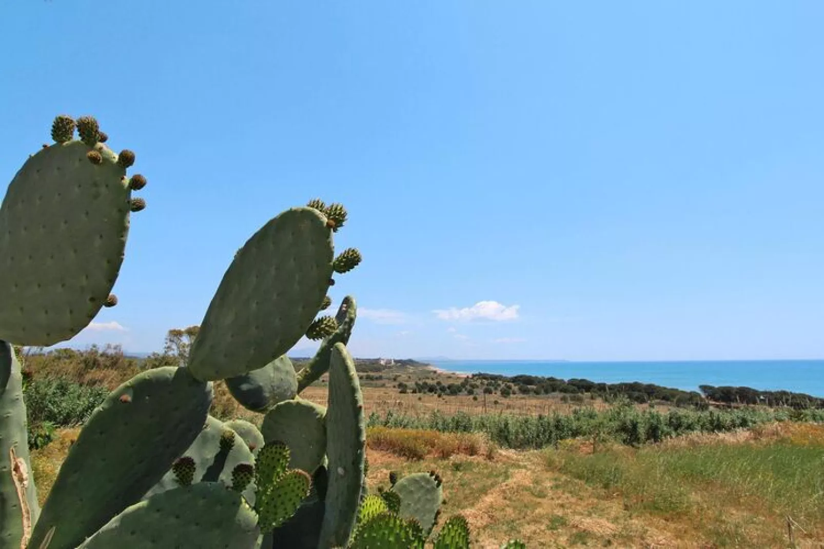 Apartments, Castelvetrano-Trilo La Rosa dei Venti-Uitzicht zomer