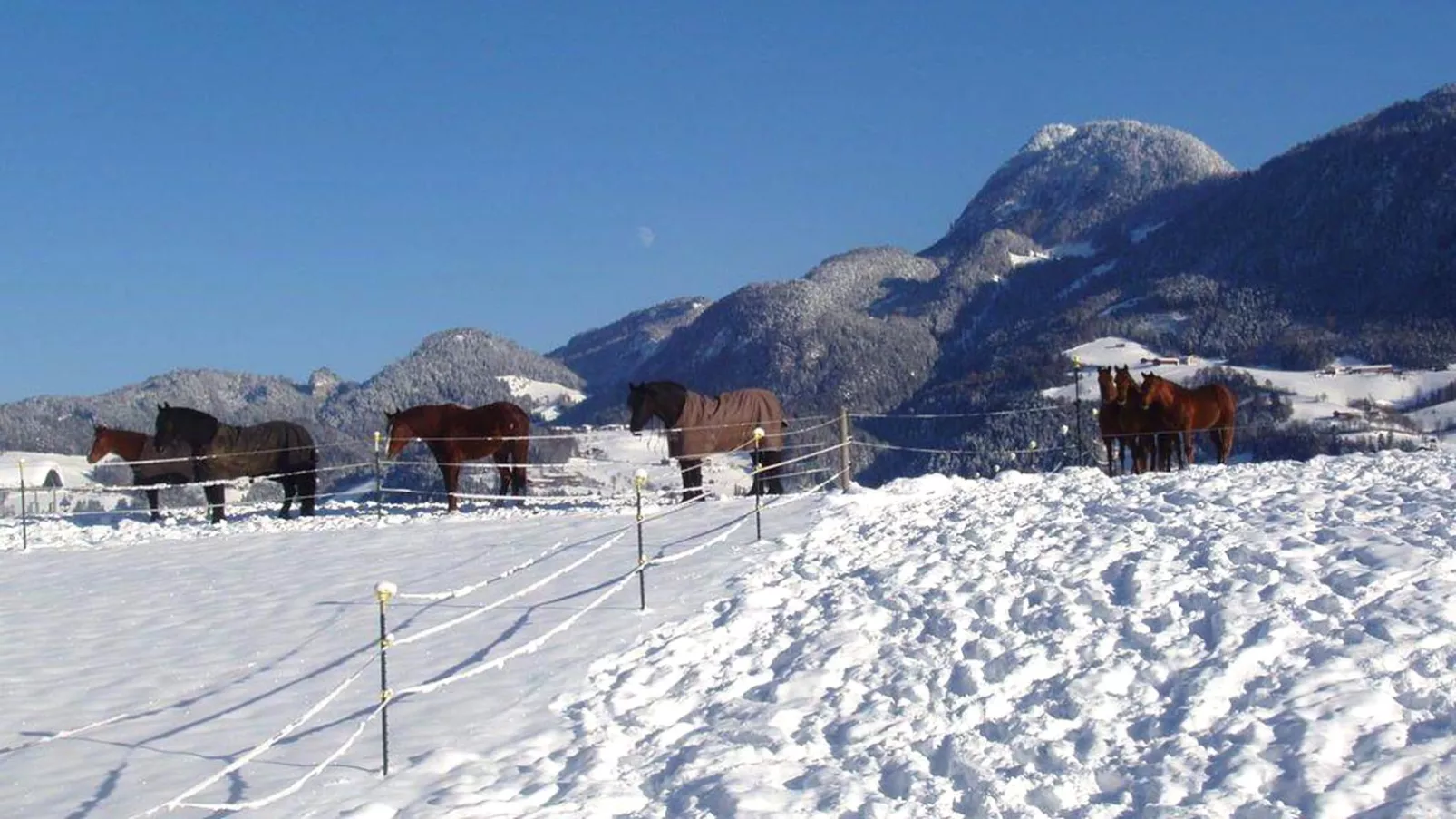 Chalet Rosa-Uitzicht winter