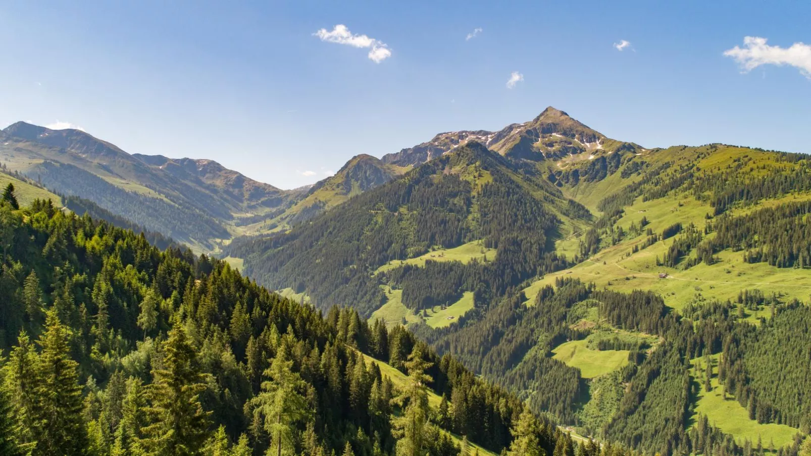 EAGGA-Niederleger Alm-Uitzicht zomer