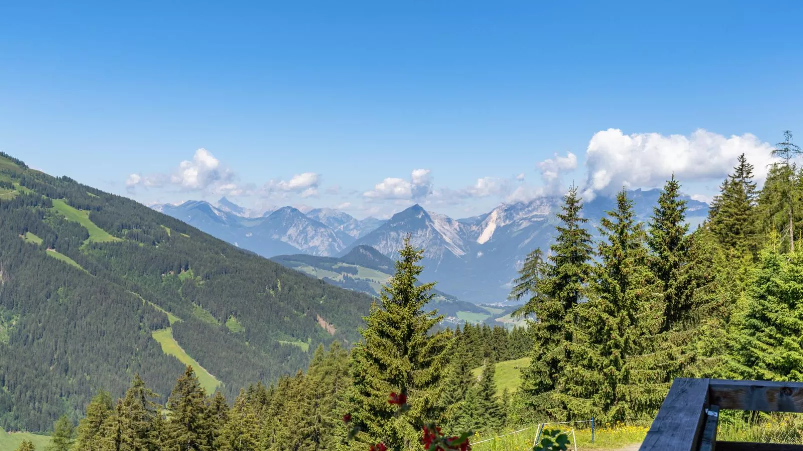 EAGGA-Niederleger Alm-Uitzicht zomer