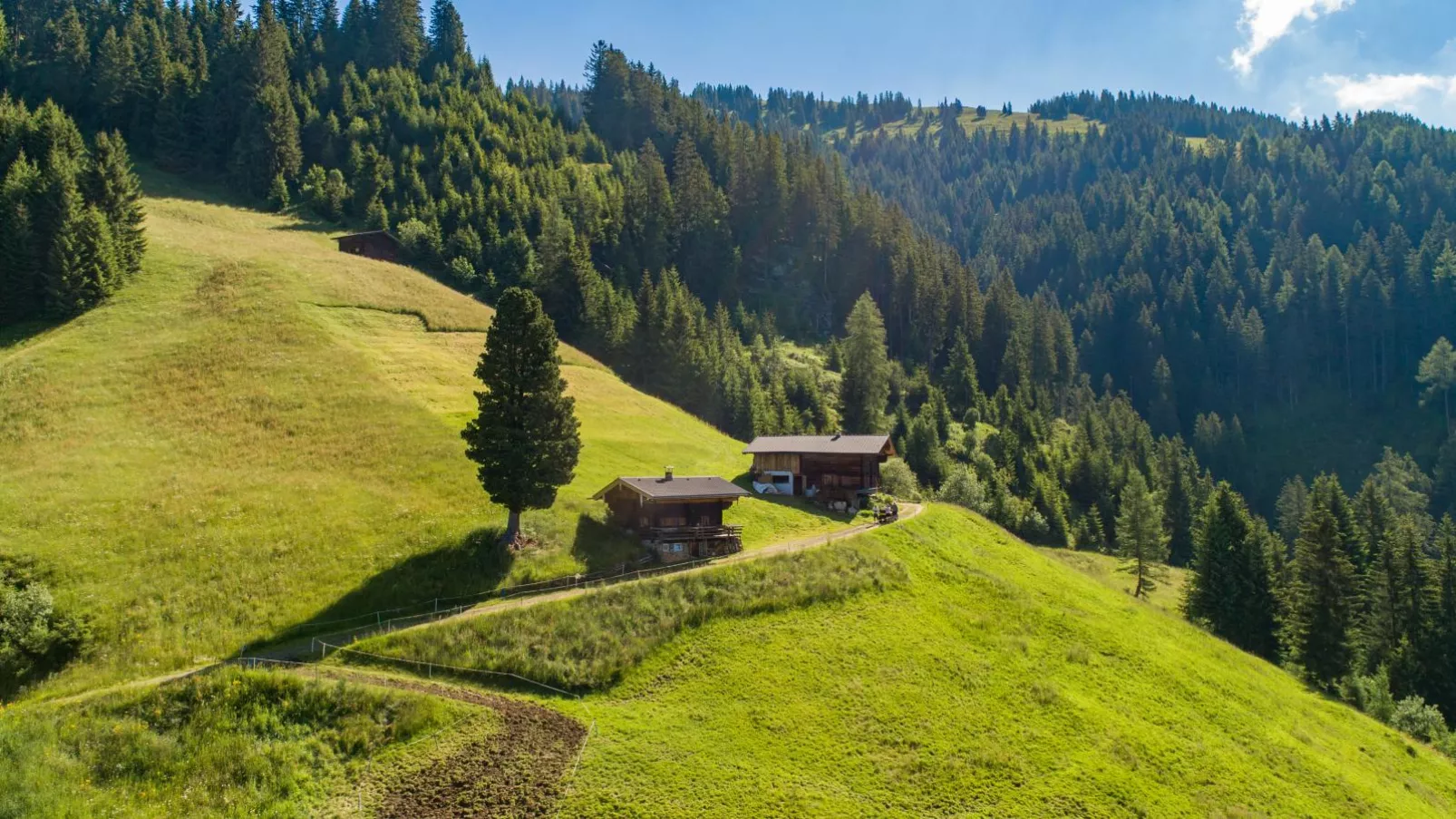 EAGGA-Niederleger Alm-Buitenkant zomer