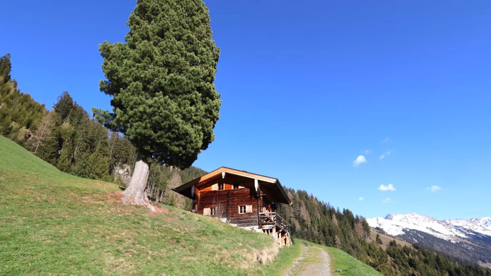 EAGGA-Niederleger Alm-Buitenkant zomer