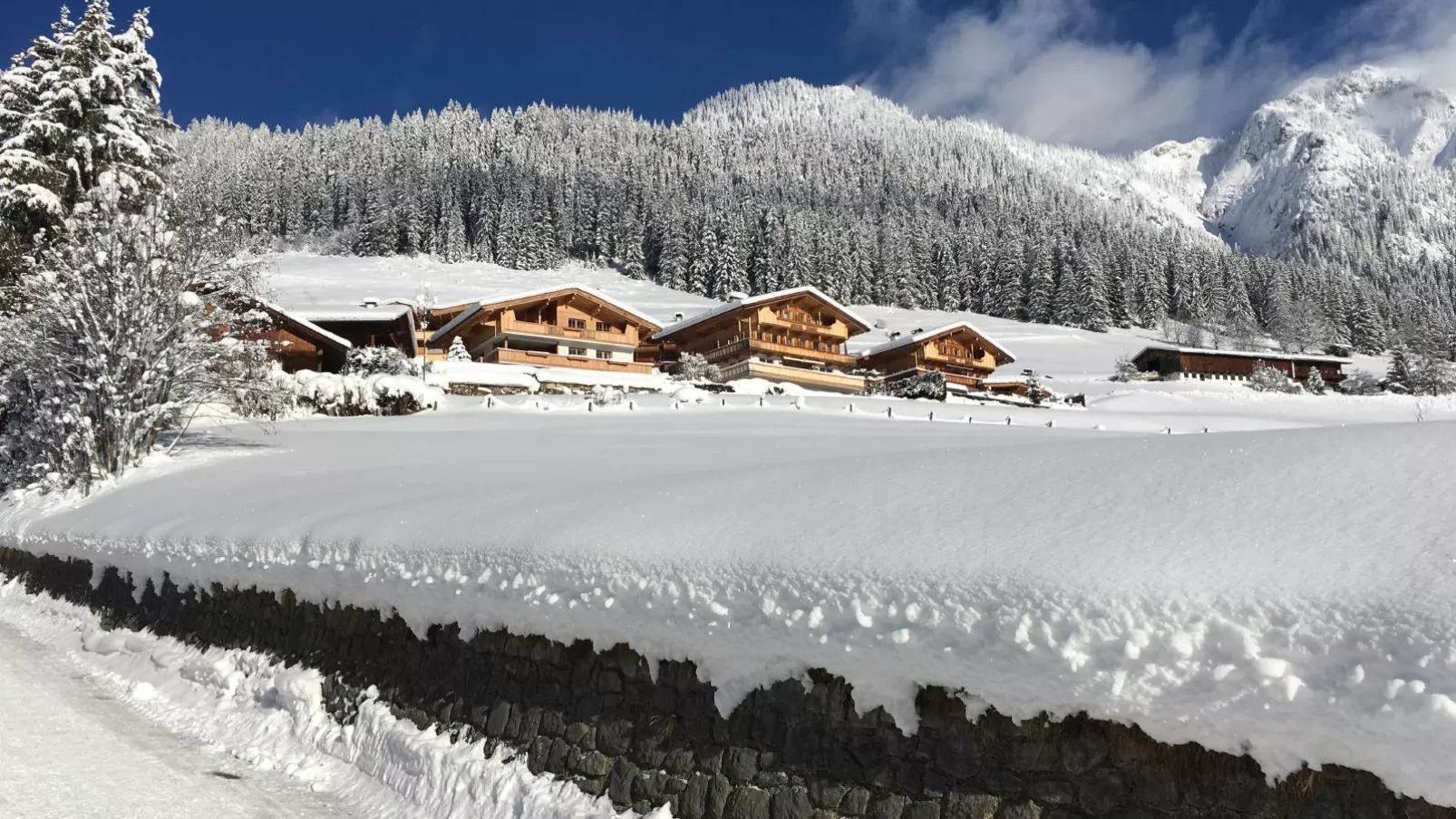 Haus Fernwald Top Jill und Rens-Exterieur winter