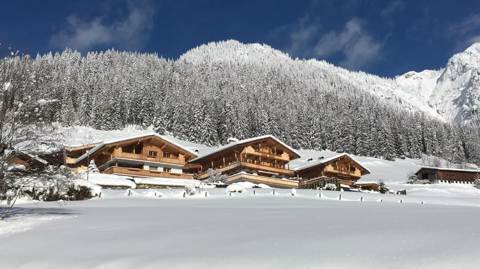 Haus Fernwald-Exterieur winter