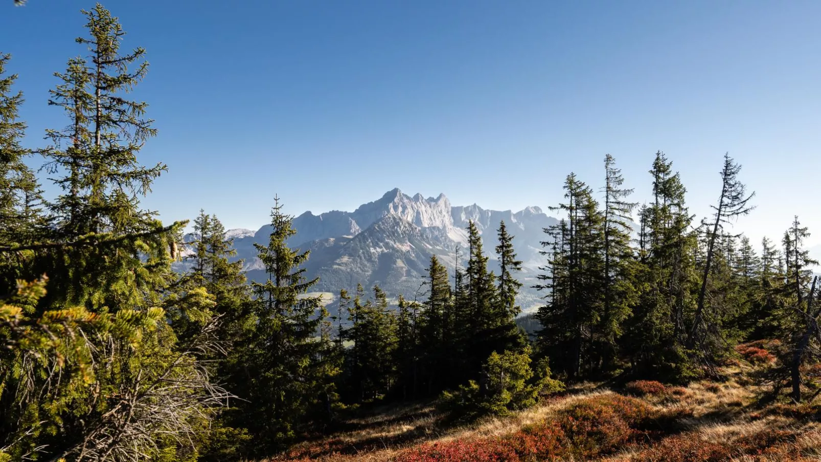 Schattbergblick-Gebieden zomer 20km