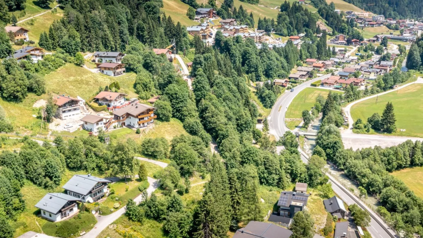 Alpensteinbock Saalbach C-Gebieden zomer 1km