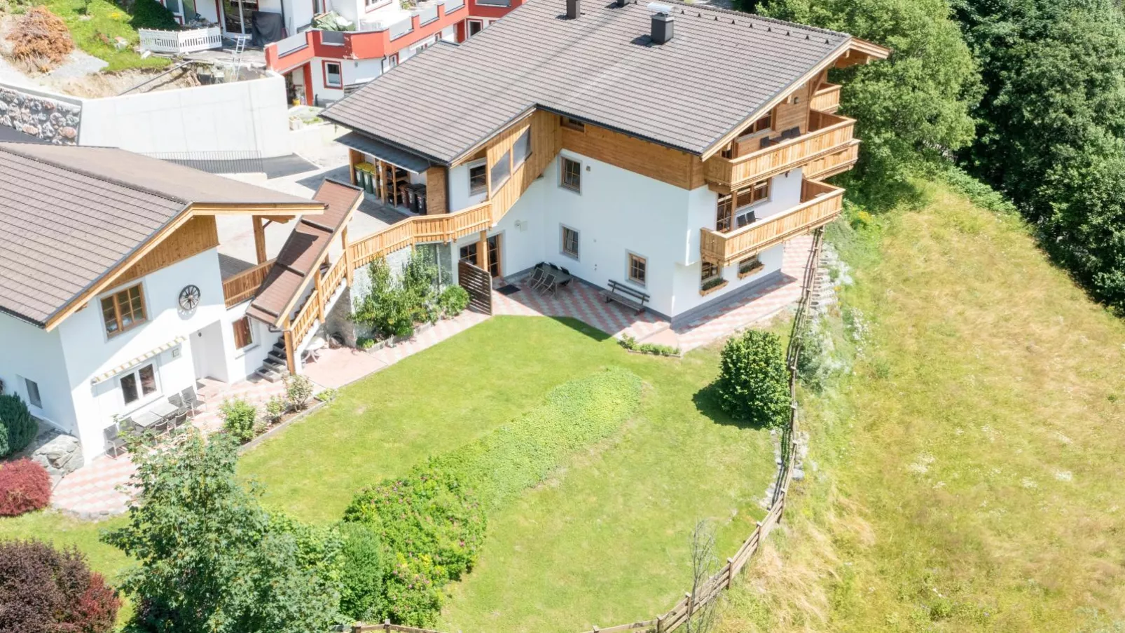 Alpensteinbock Saalbach A-Buitenkant zomer