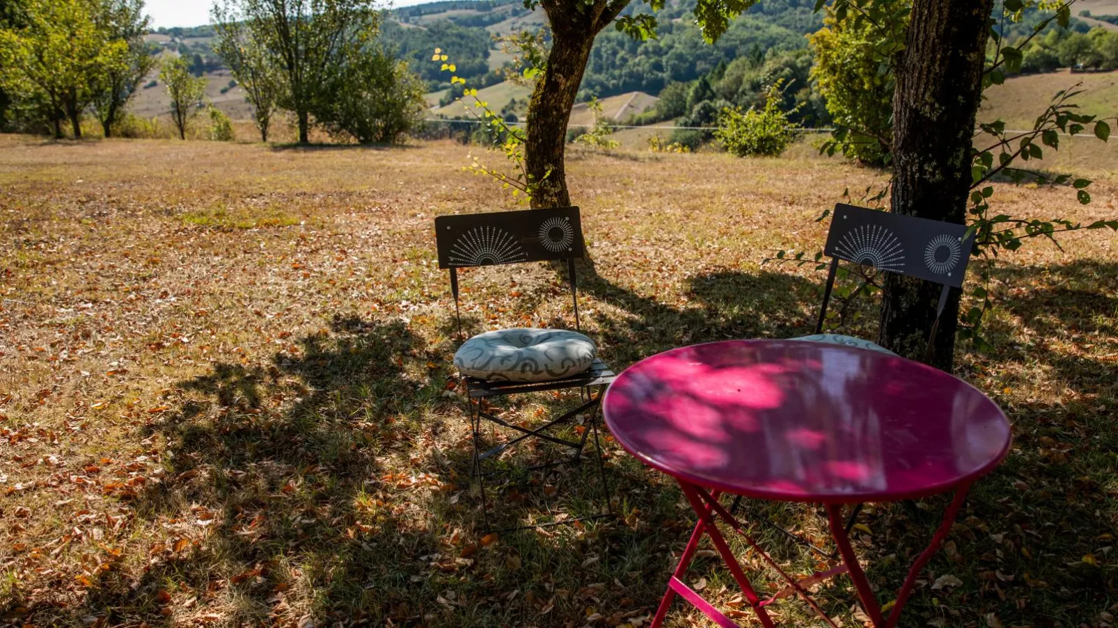 Maison avec style en pleine nature-Tuinen zomer