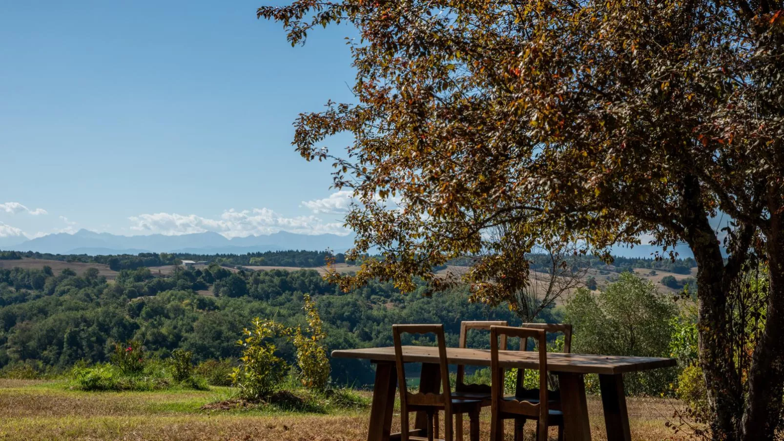 Maison avec style en pleine nature-Tuinen zomer