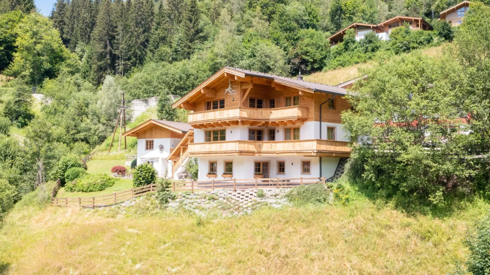 Alpensteinbock Saalbach A-Buitenkant zomer