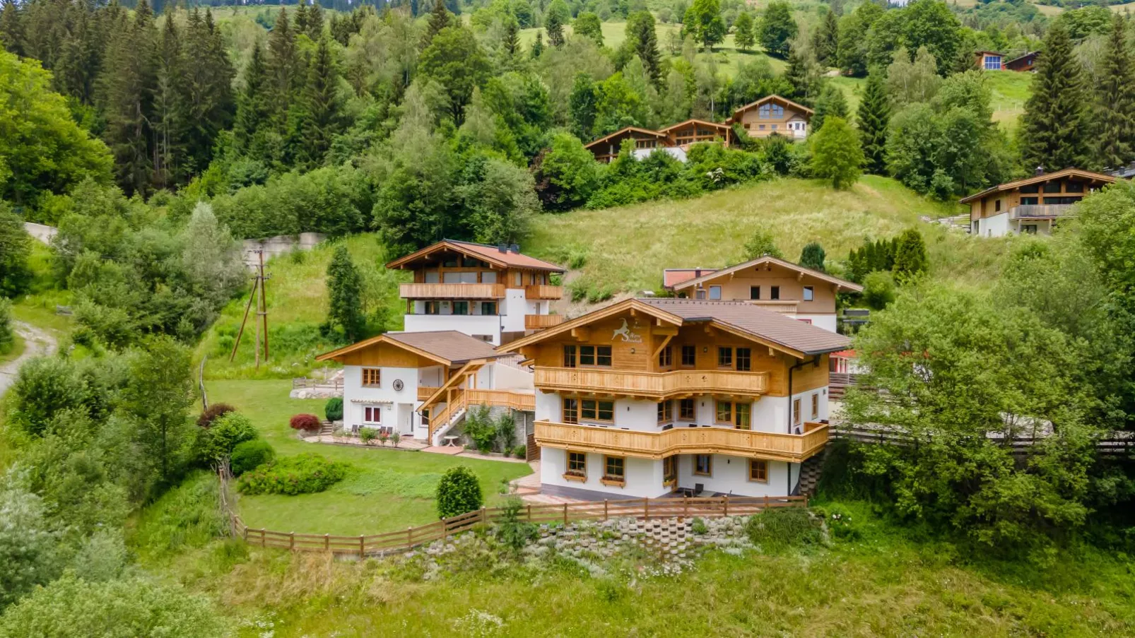 Alpensteinbock Saalbach A-Buitenkant zomer