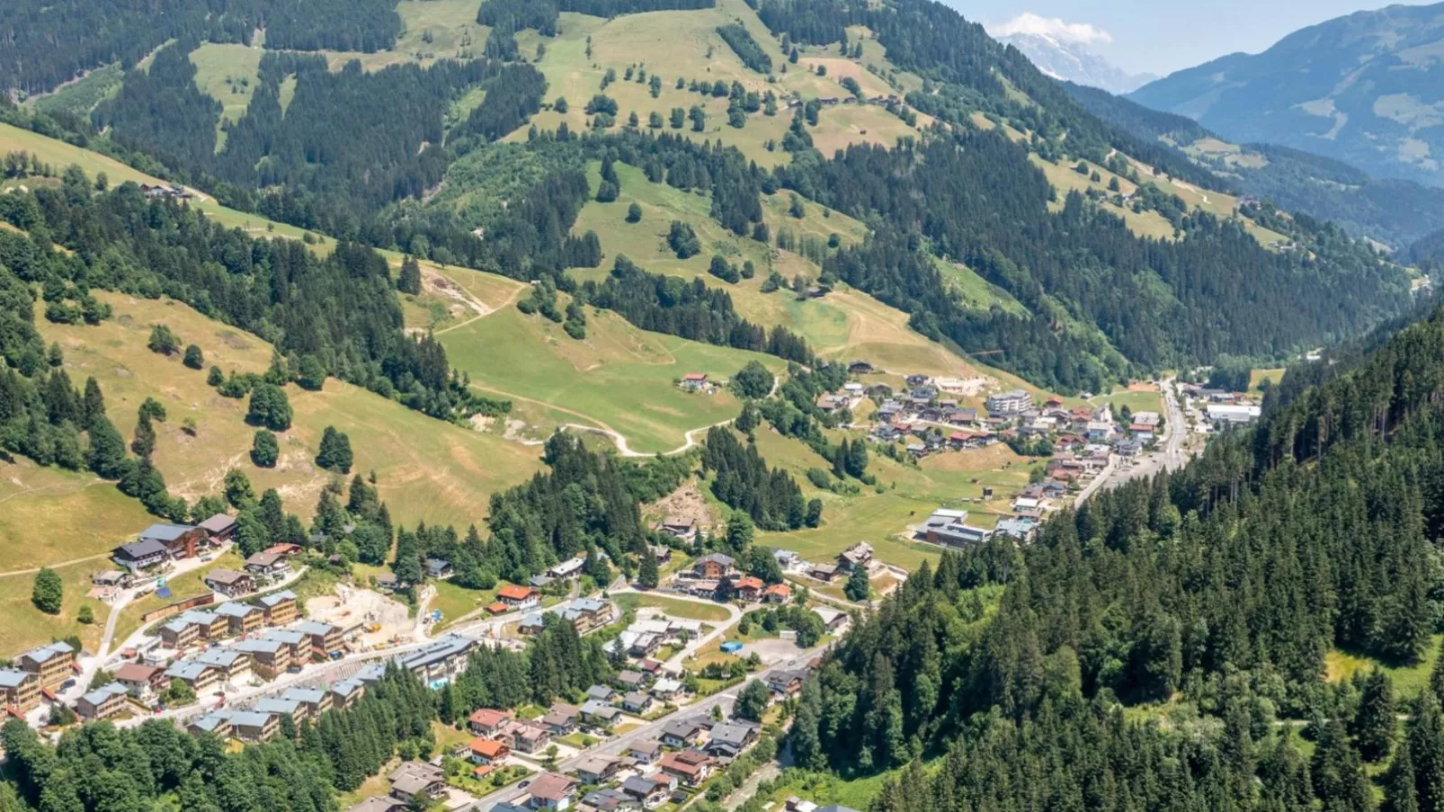 Alpensteinbock Saalbach A-Gebieden zomer 5km