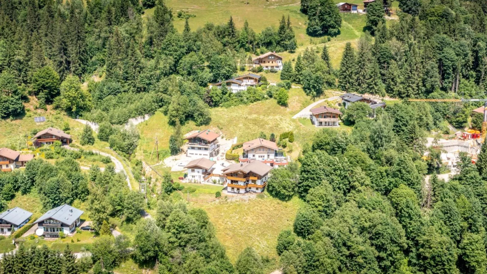 Alpensteinbock Saalbach A-Buitenkant zomer