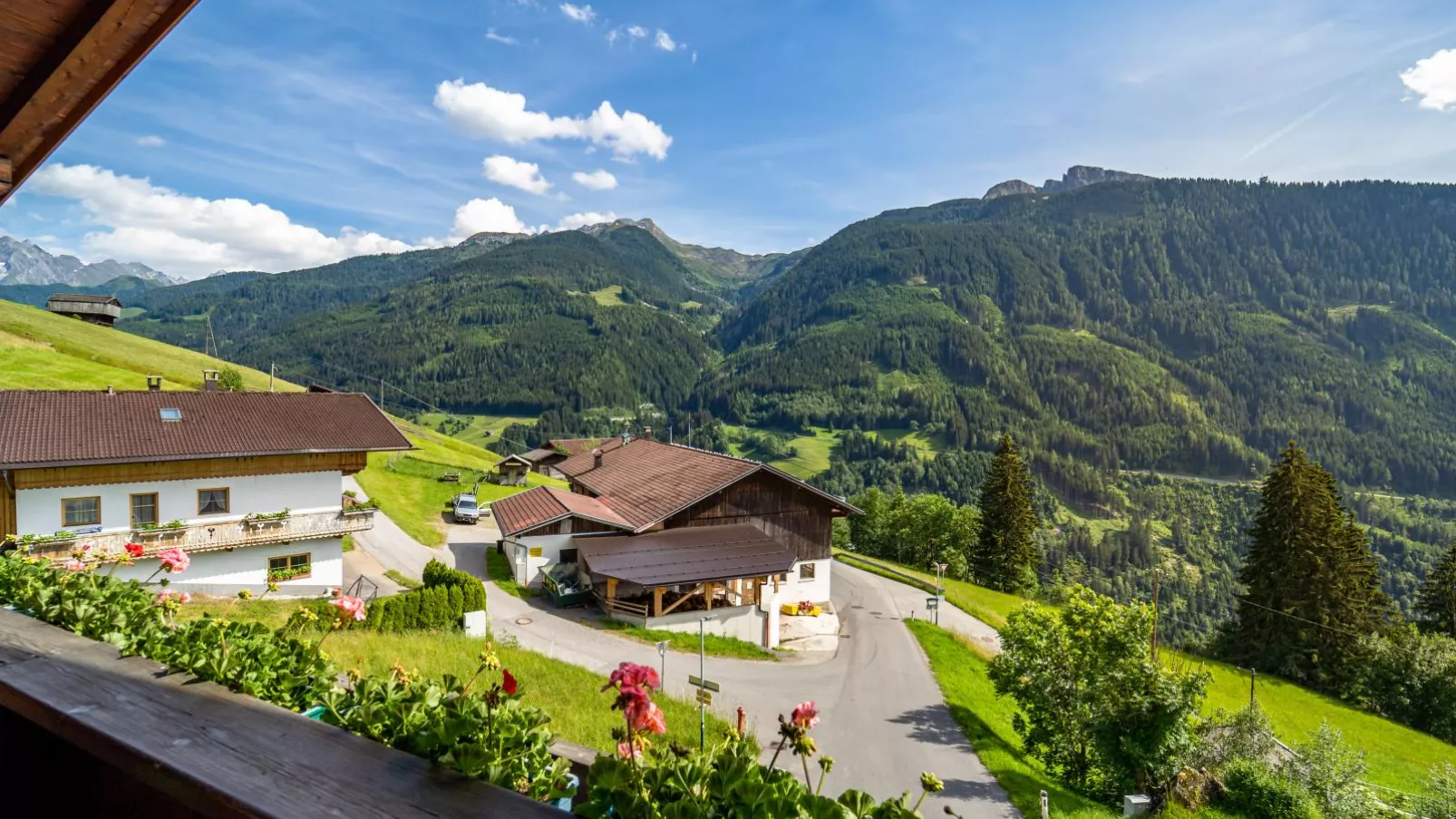 Ferienhaus Almhof-Uitzicht zomer