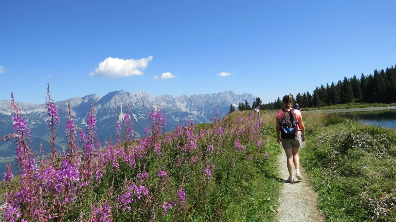 Penthouse Janita-Gebieden zomer 20km