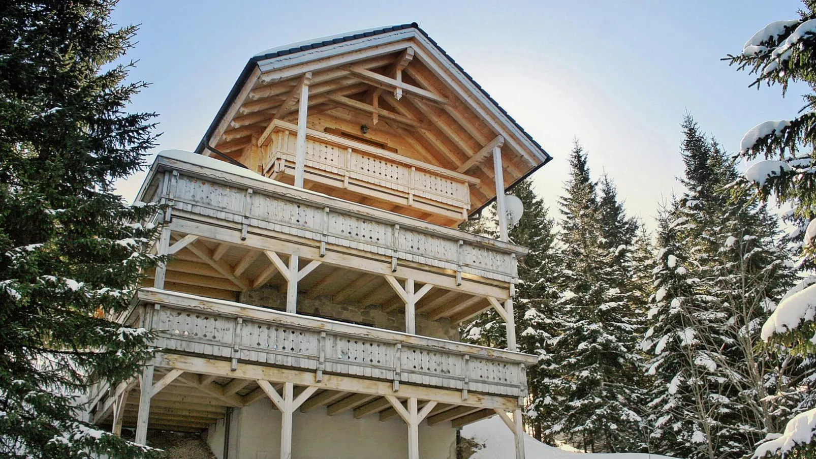 Chalet Bergoase-Exterieur winter