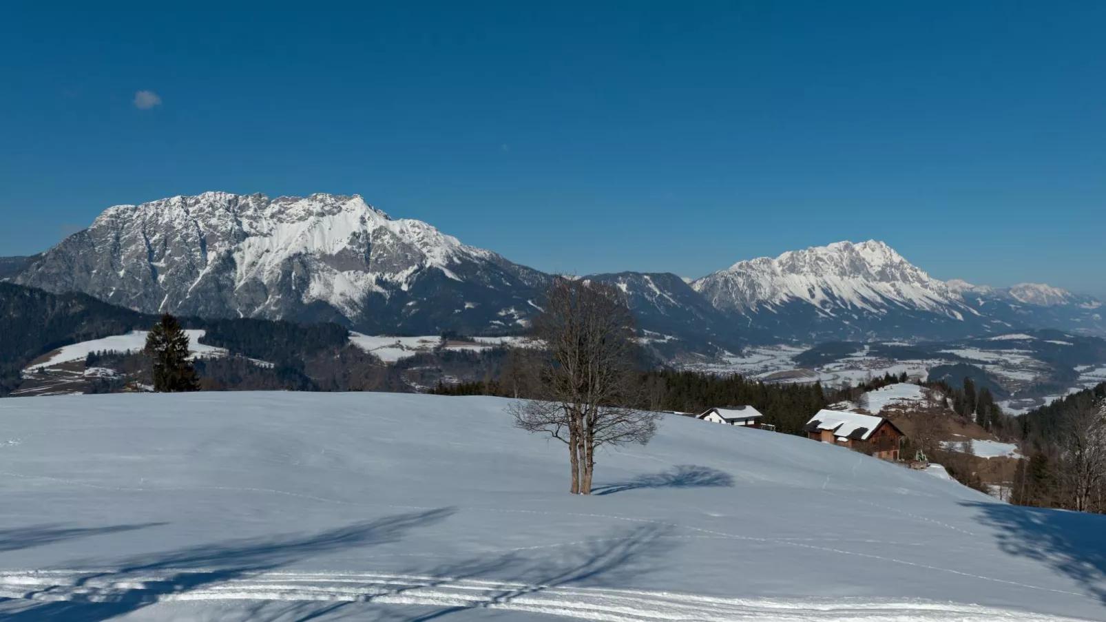 Alpenlodge-Gebied winter 1km