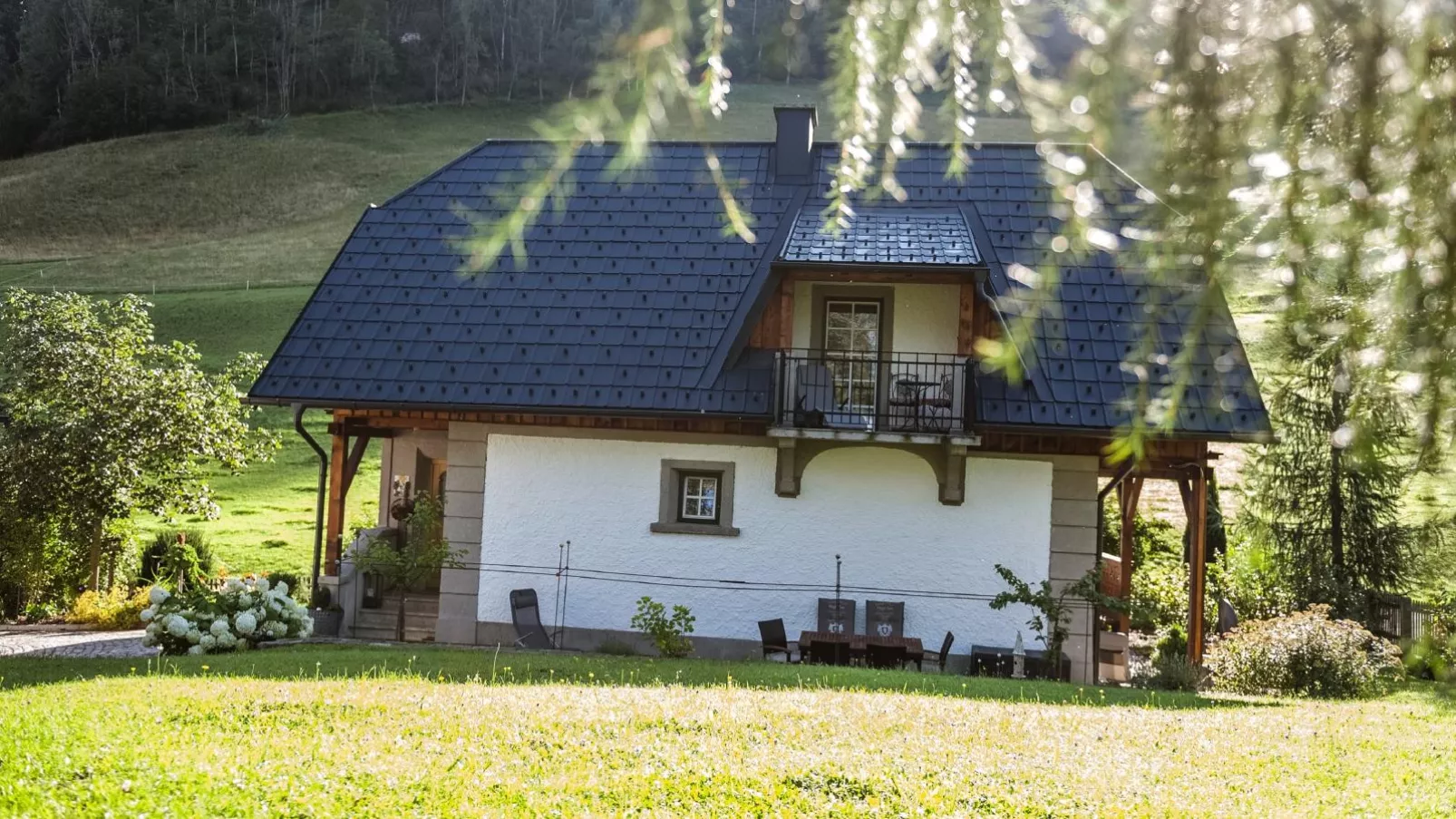 Naturpark Chalet Schladming-Dachstein-Buitenkant zomer