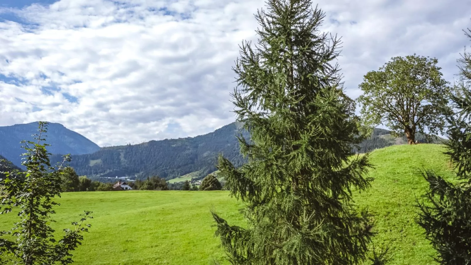 Naturpark Chalet Schladming-Dachstein-Uitzicht zomer