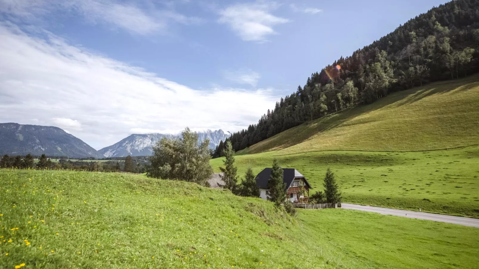 Naturpark Chalet Schladming-Dachstein-Buitenkant zomer