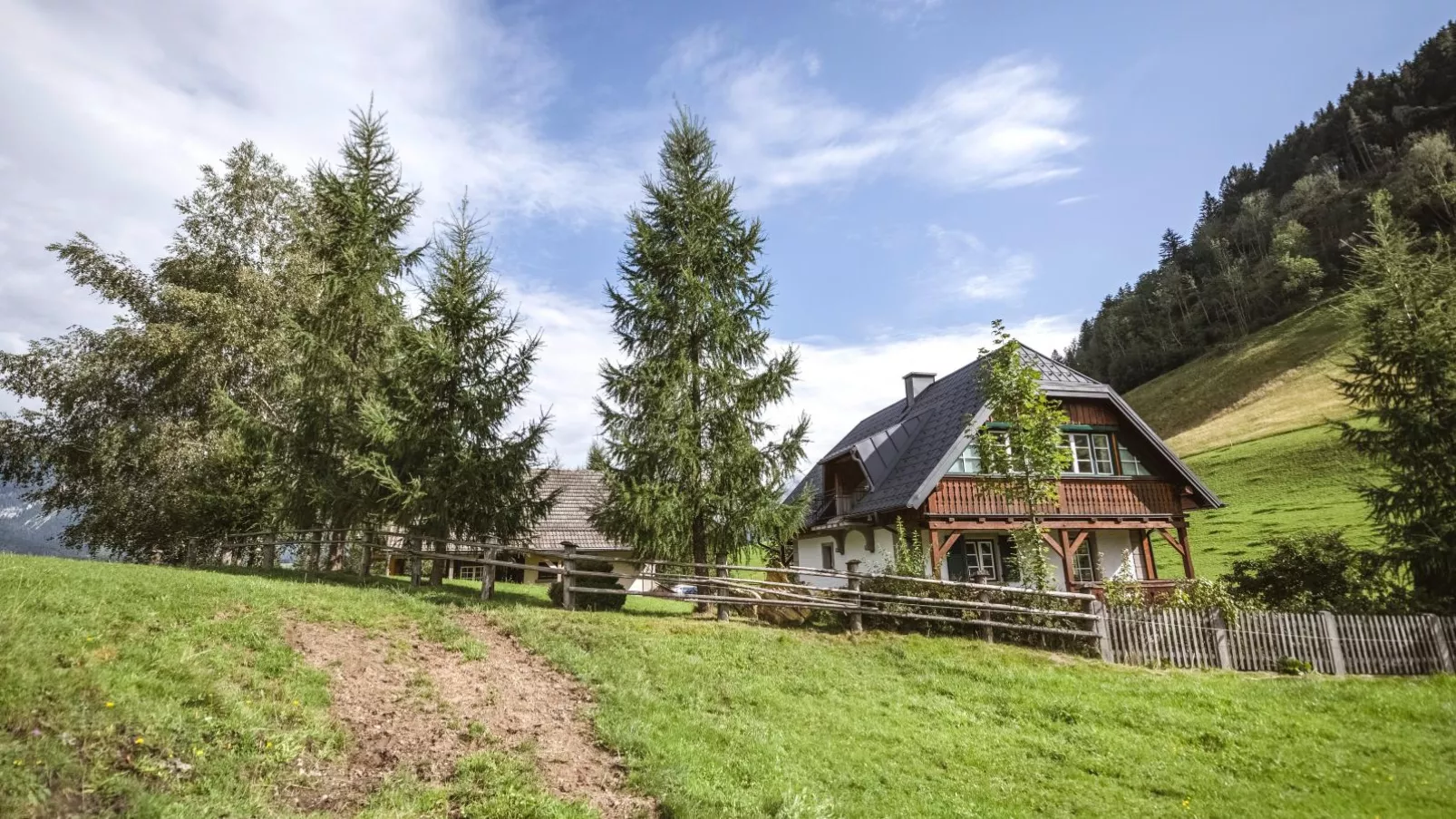 Naturpark Chalet Schladming-Dachstein-Buitenkant zomer