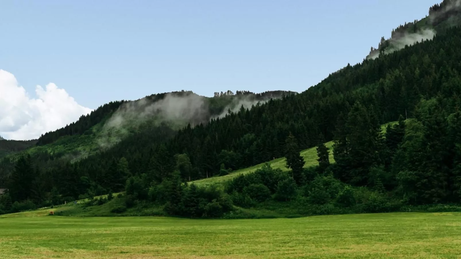 Haus Ganbei L-Gebieden zomer 5km