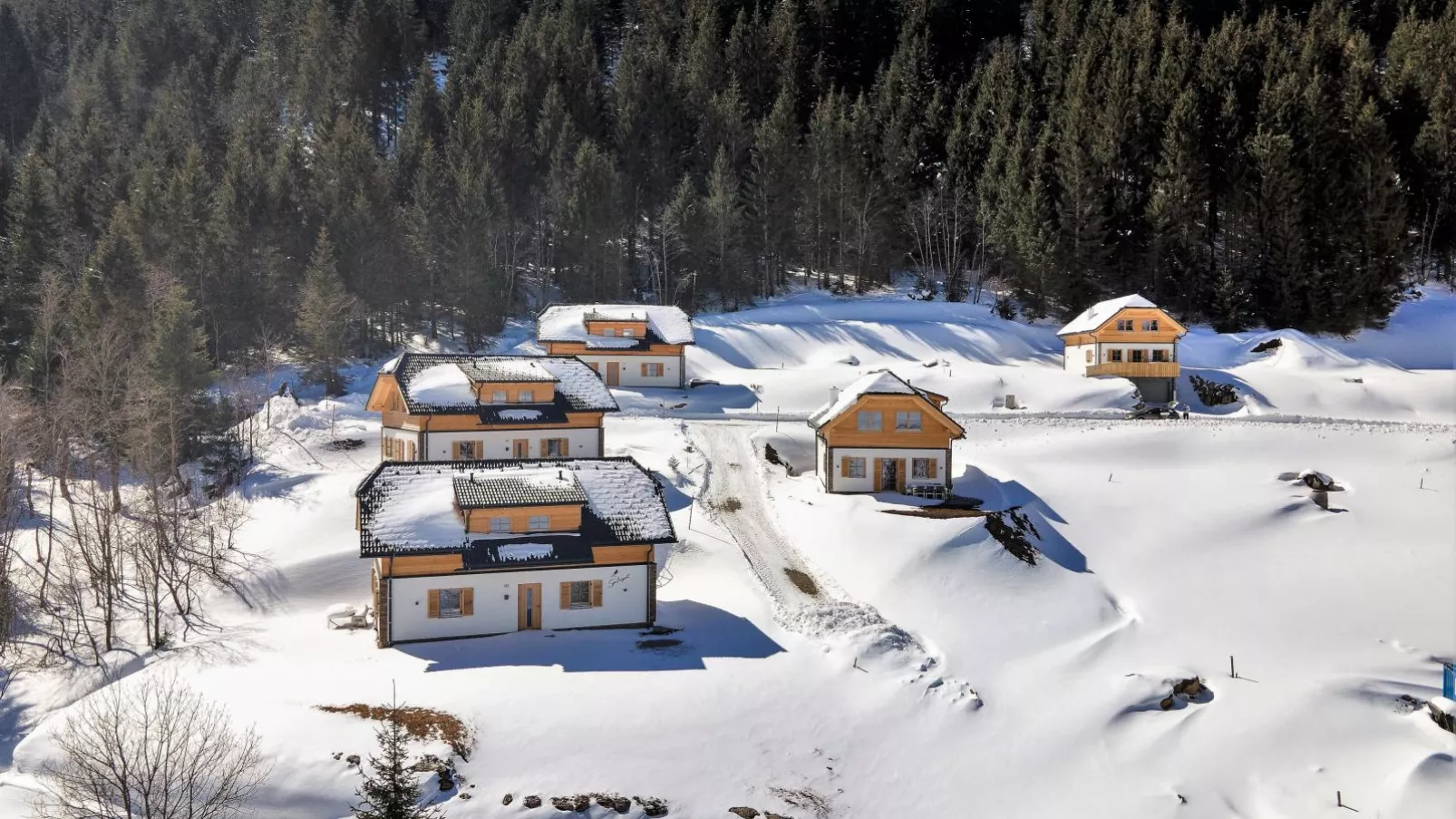 Traumhaus-Exterieur winter