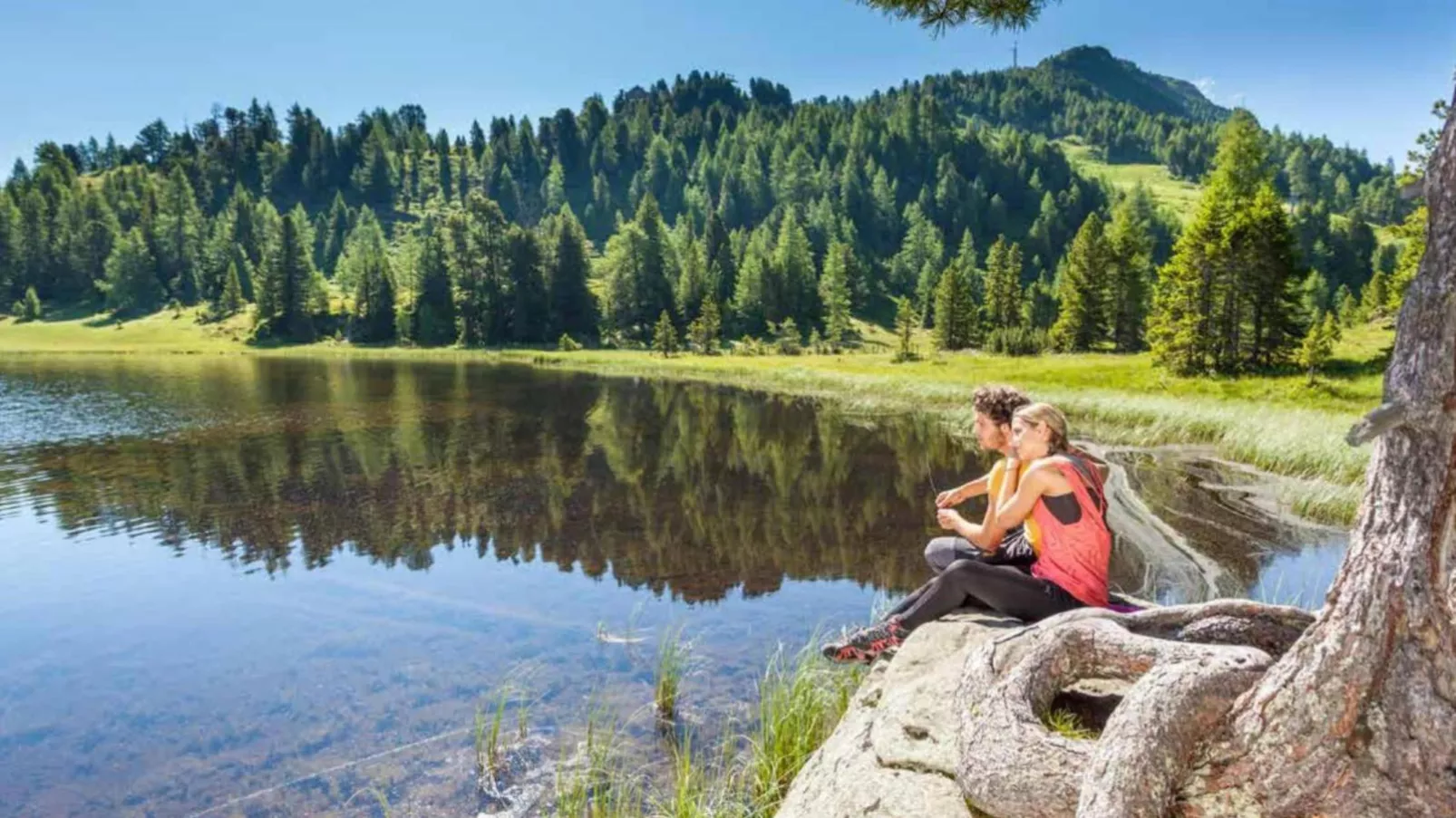 Mountain Chalet Arnica-Gebieden zomer 20km