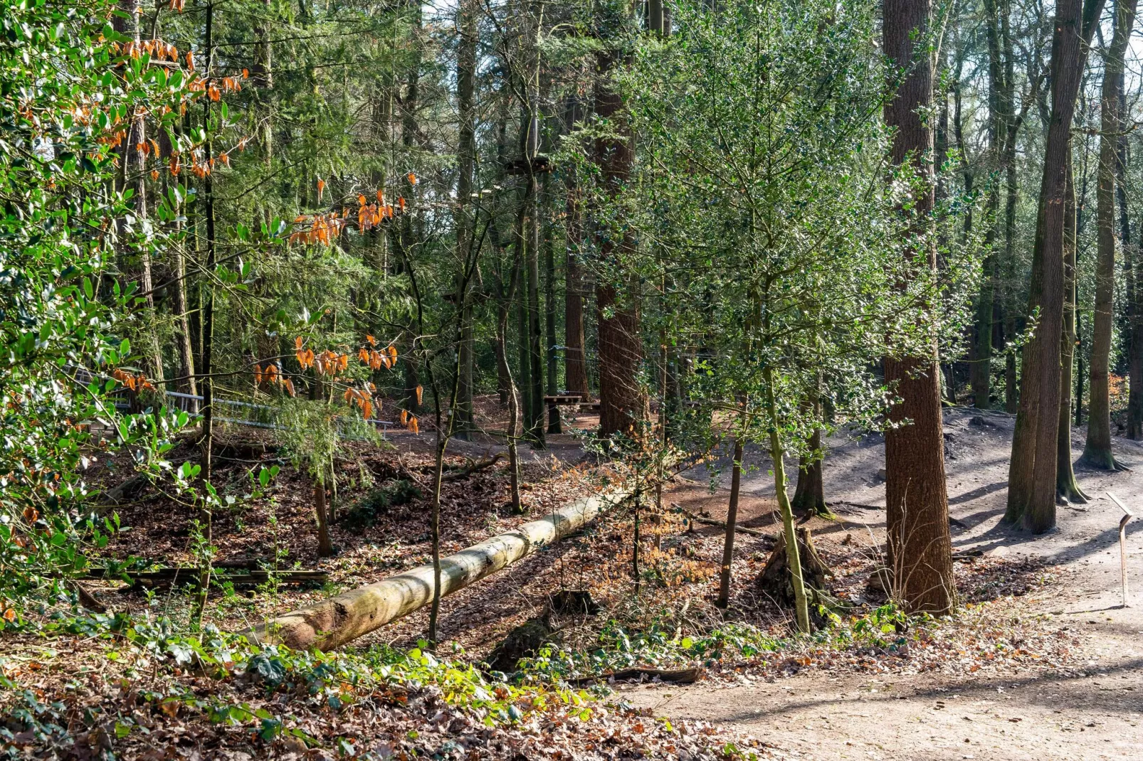 Chalet Alkenhaer nr 40-Gebieden zomer 1km