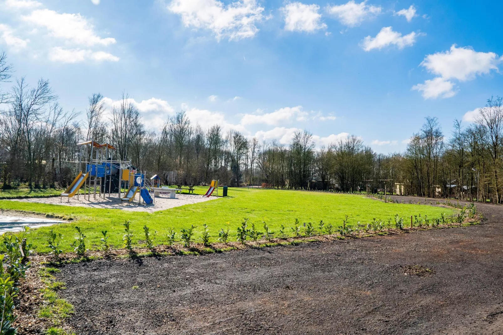 Chalet Alkenhaer nr 80a-Uitzicht zomer