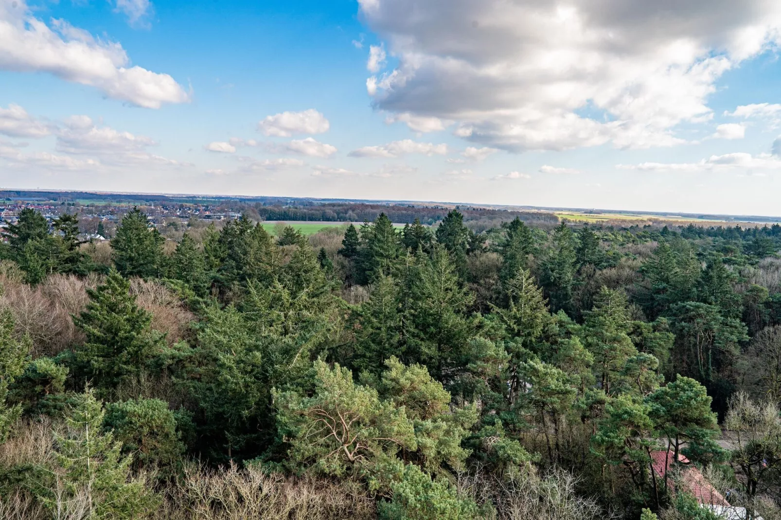 Chalet Alkenhaer nr 36-Gebieden zomer 5km