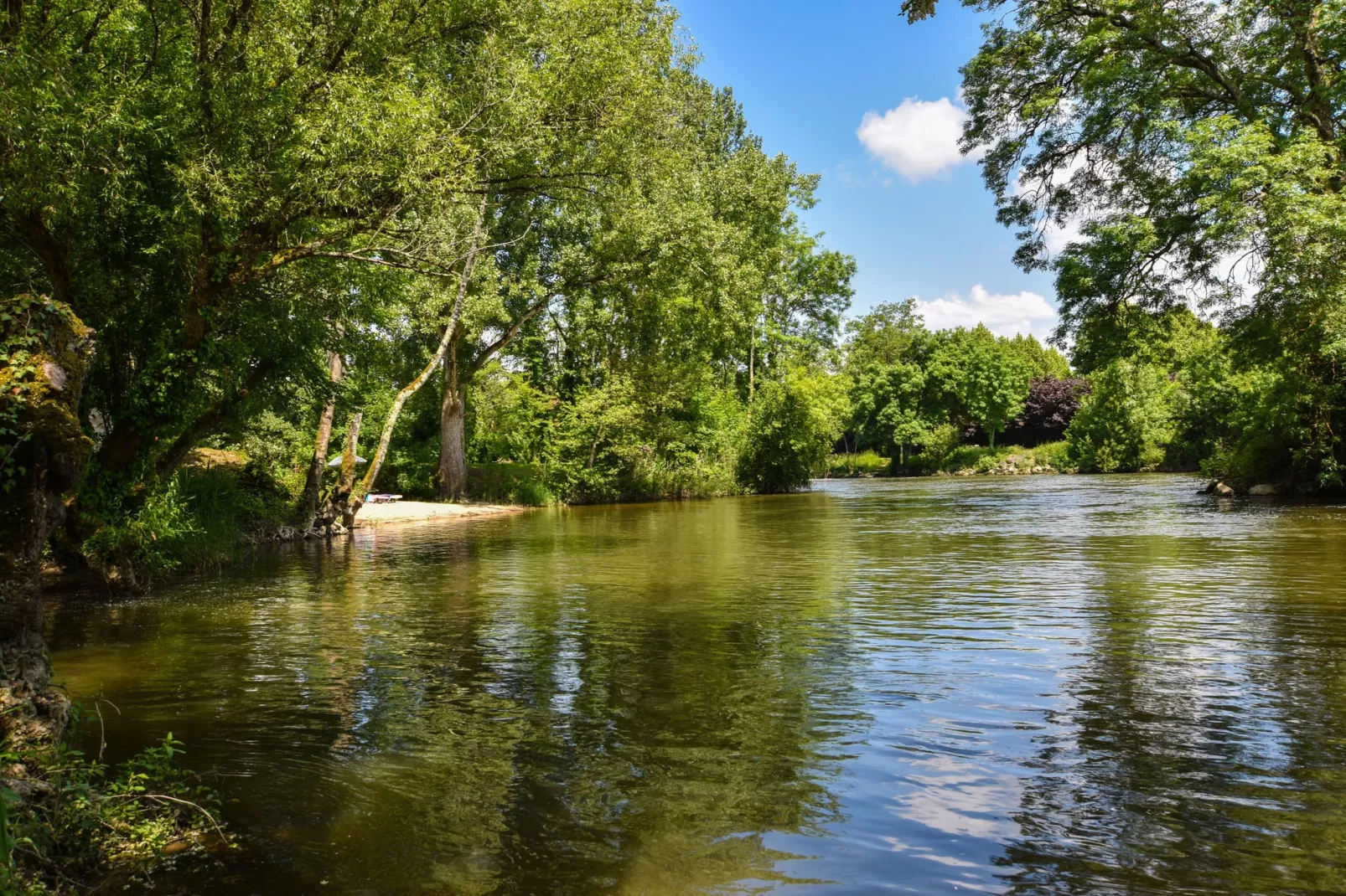 Domaine du pont vieux  Bâtiment principal/Annexe/chalet bois/Banane/Aquarium-Gebieden zomer 1km