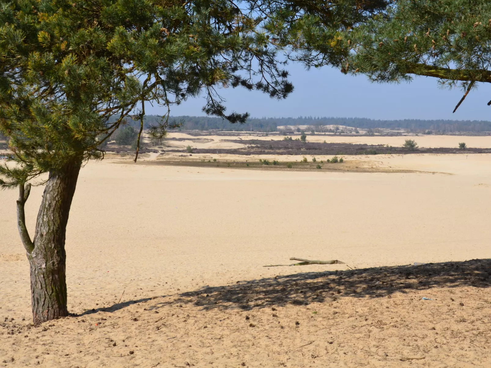 Duinhoeve-Buiten