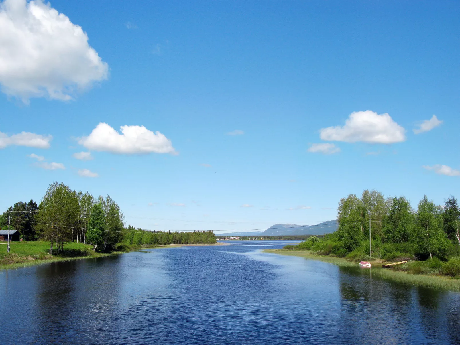 Kvisthån Tallen-Buiten