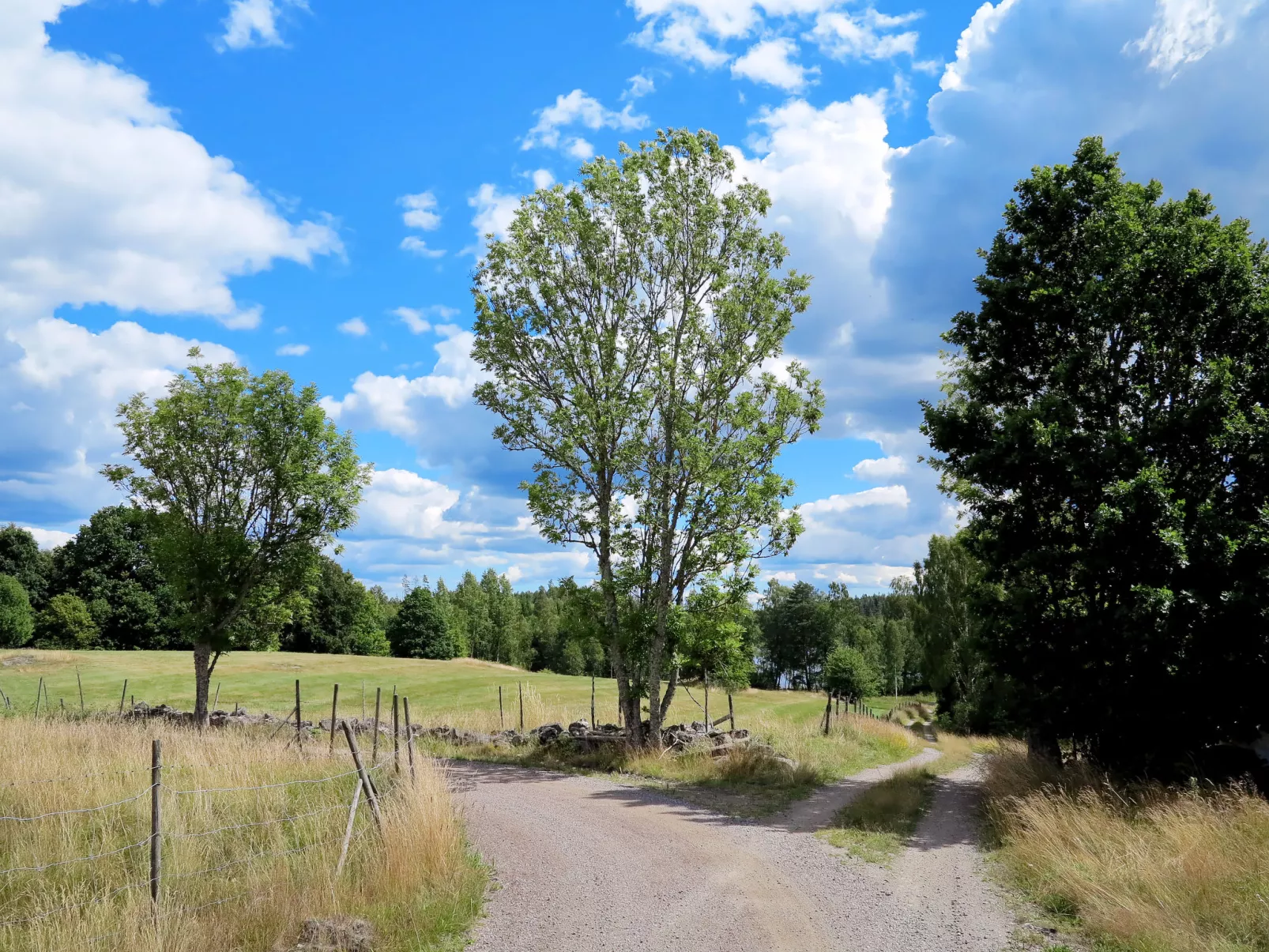 Rödmossa Femton-Buiten