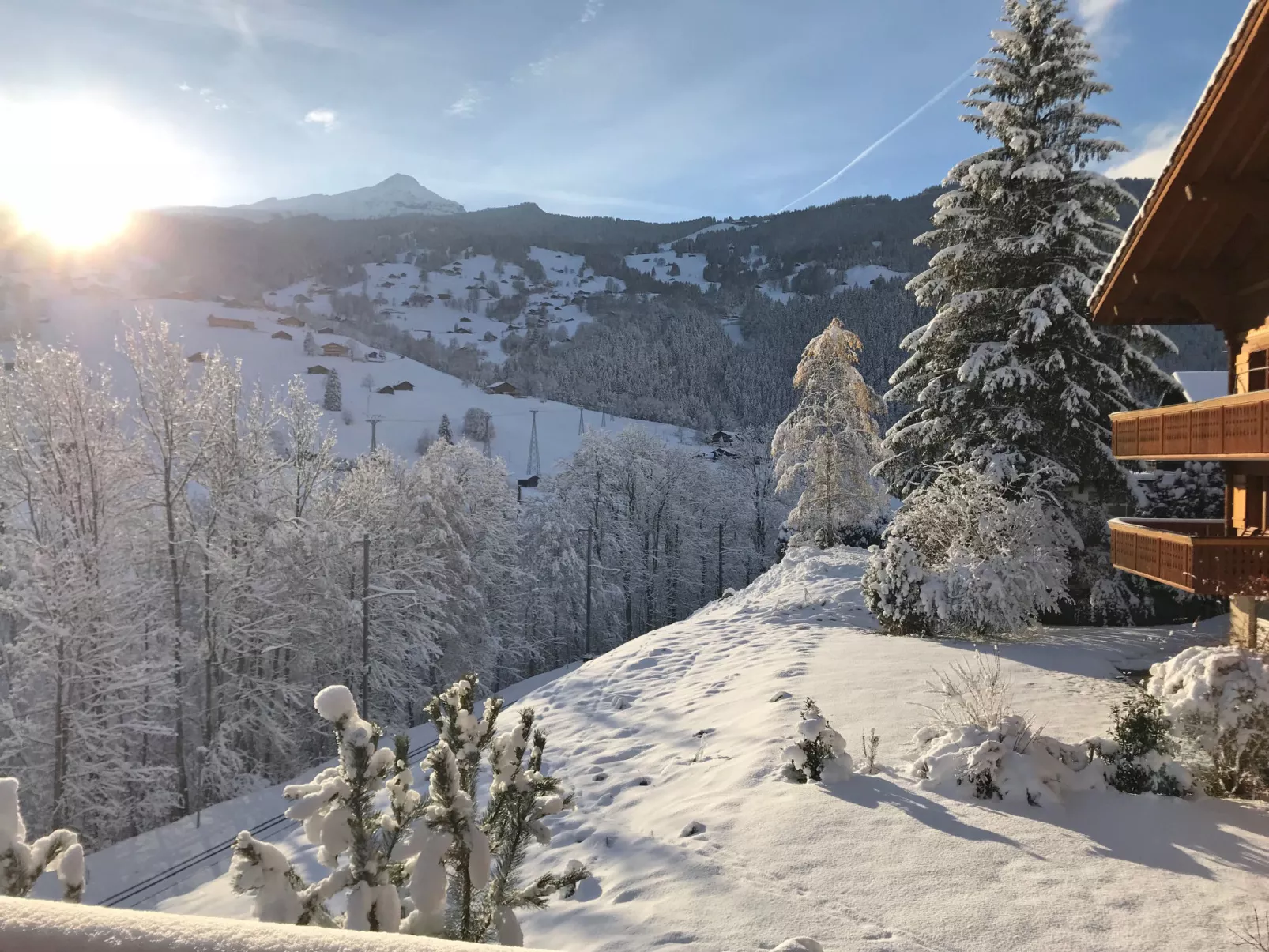 Chalet Eiger-Buiten