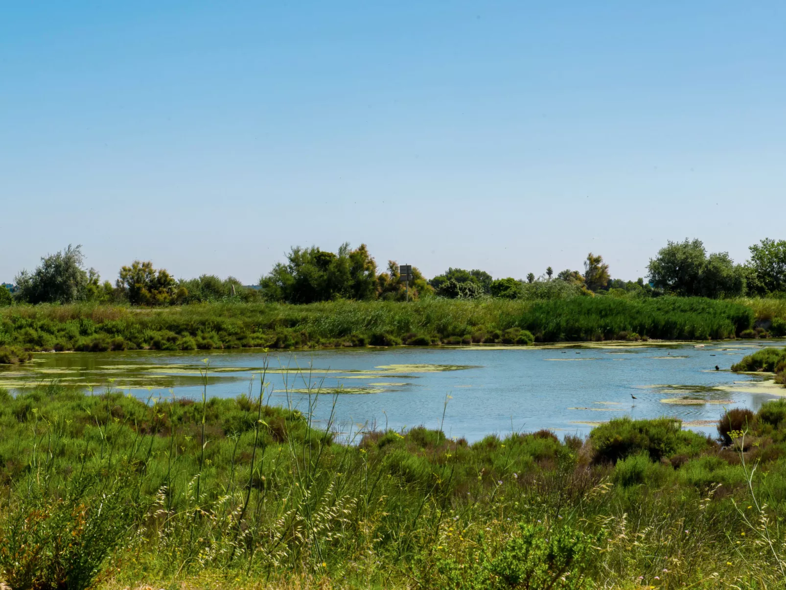 Domaine du Golf-Binnen